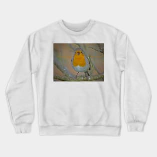 ROBIN GOCH NADOLIG! Crewneck Sweatshirt